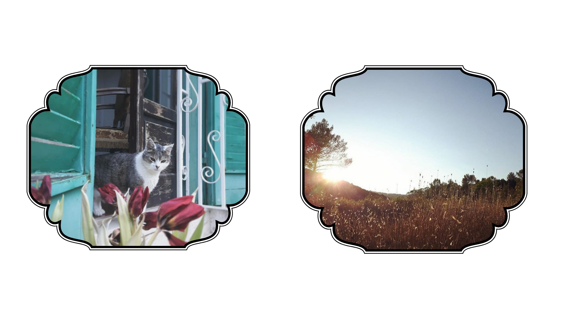 Untitled design (1).jpg