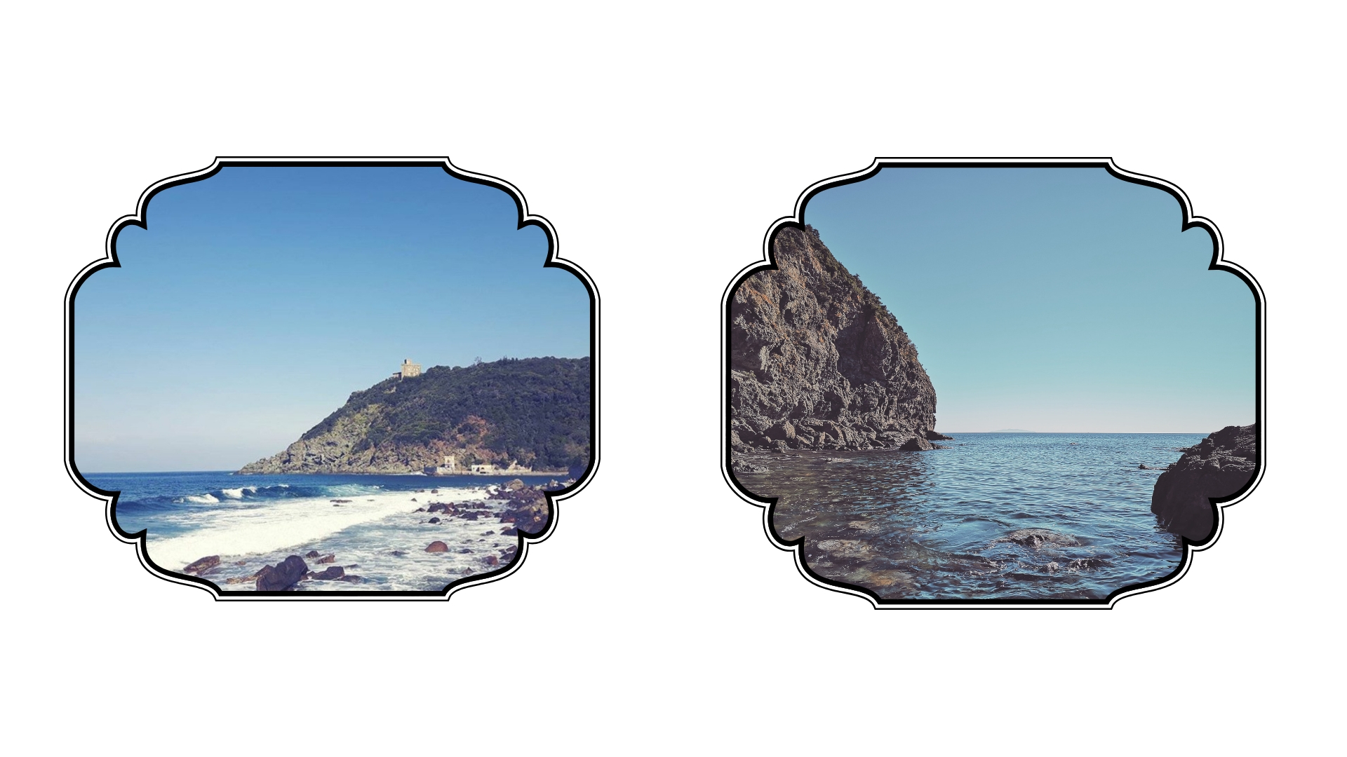 Untitled design (3).jpg