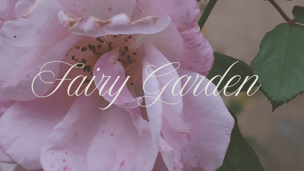 Fairy Garden
